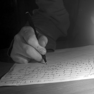 Contact Tim Shawcross